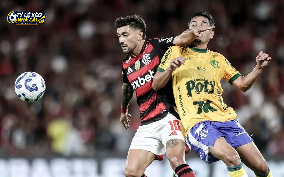 Flamengo được kỳ vọng giành trọn 3 điểm trên sân nhà